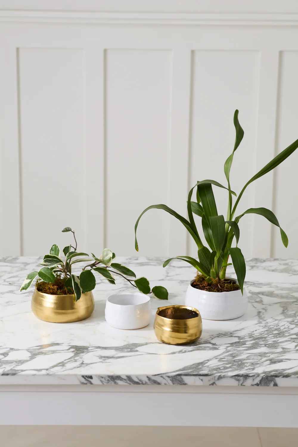 Tegan Bowl Set of 8 By Accent Decor - Image 5