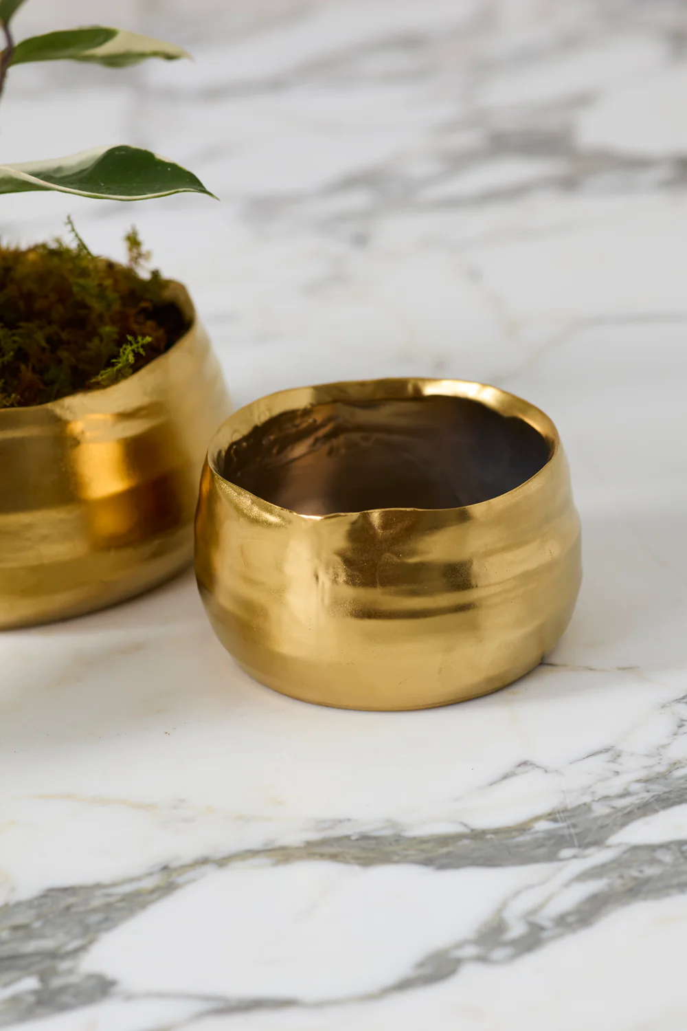 Tegan Bowl Set of 8 By Accent Decor - Image 9