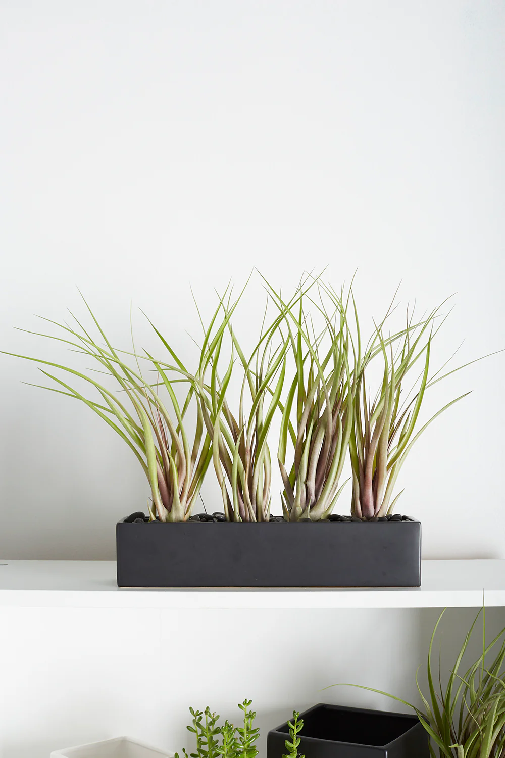 Urban Planter Set of 4 By Accent Decor - Image 14