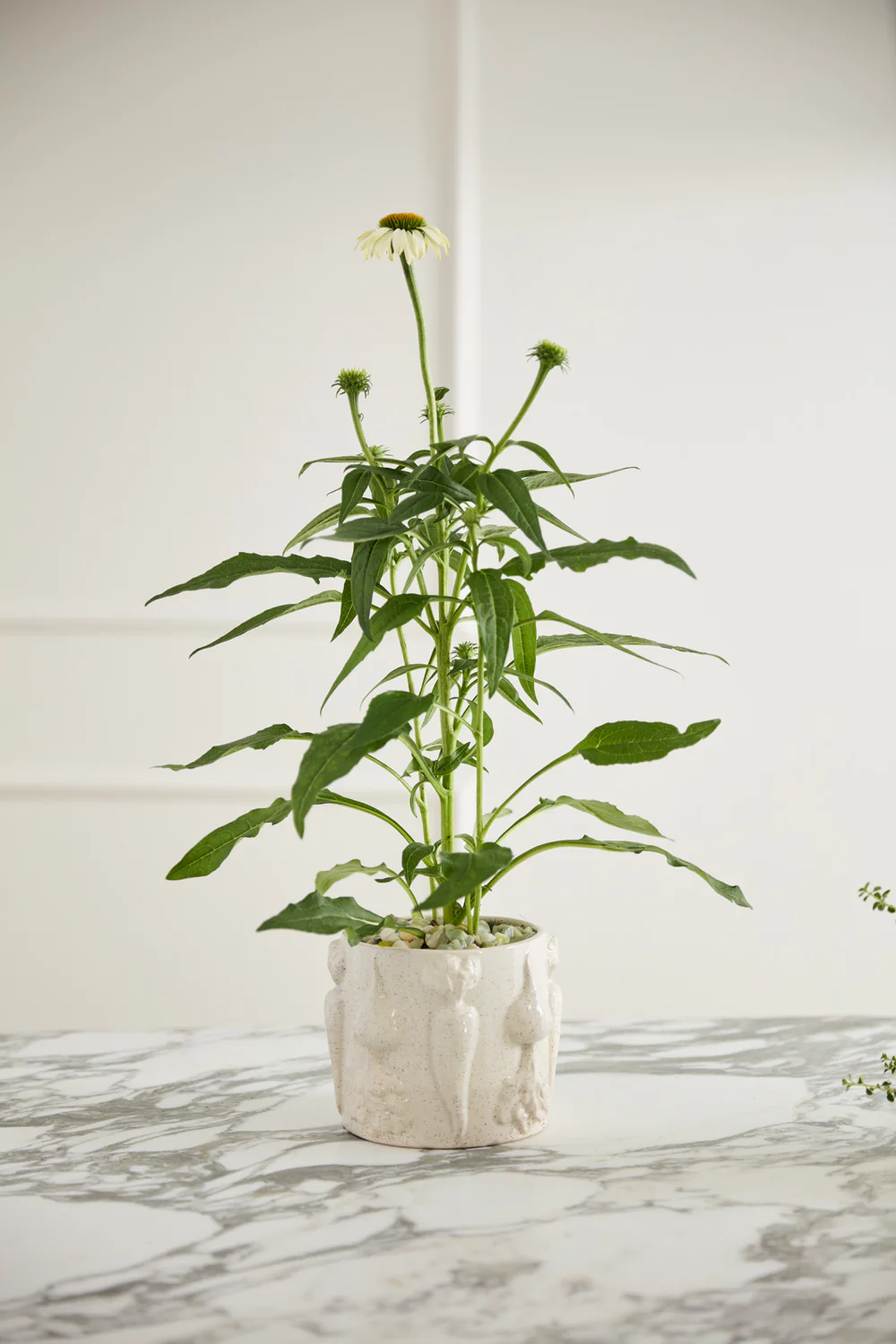 Veggie Collection Set of 8 By Accent Decor - Image 10