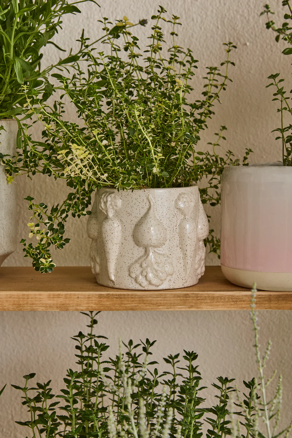 Veggie Collection Set of 8 By Accent Decor - Image 7