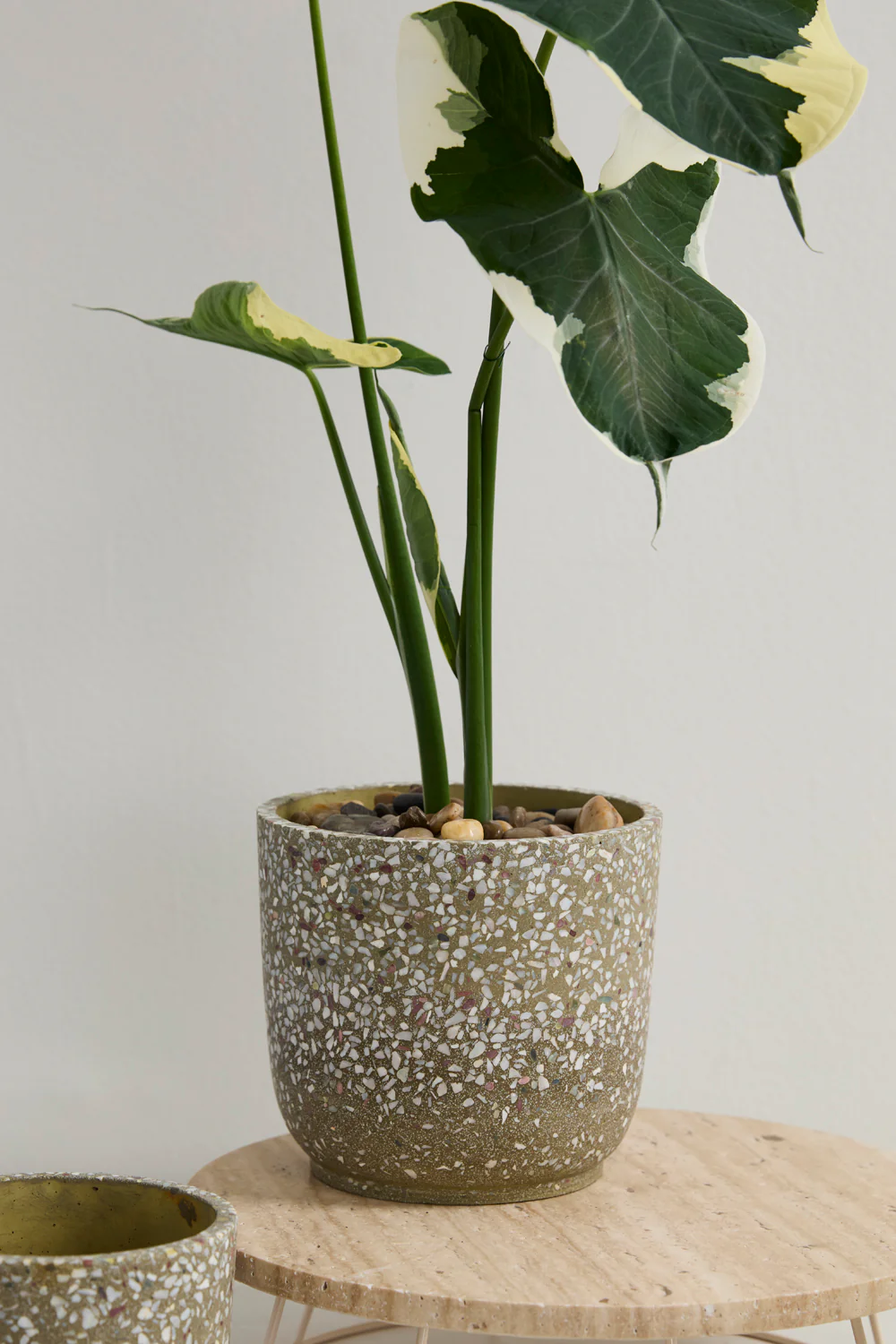 Verde Pot Set of 4 By Accent Decor - Image 17