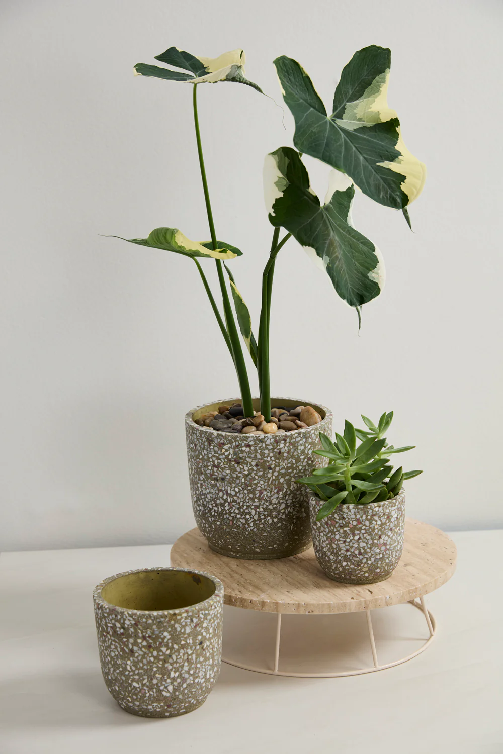 Verde Pot Set of 4 By Accent Decor - Image 3