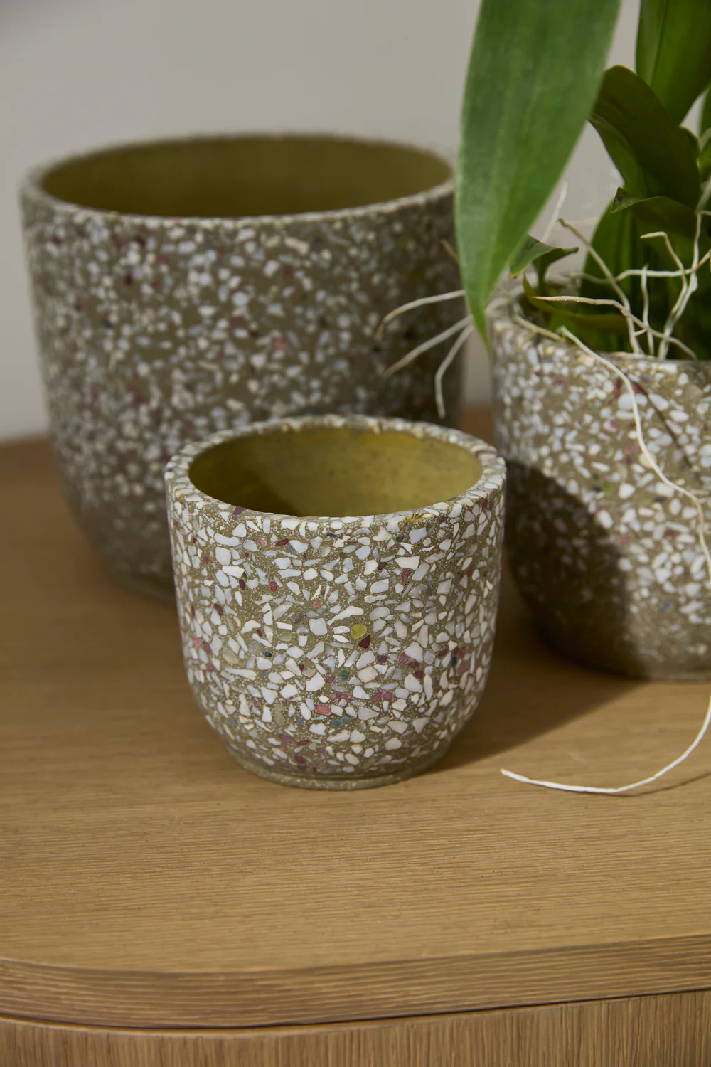 Verde Pot Set of 4 By Accent Decor - Image 9