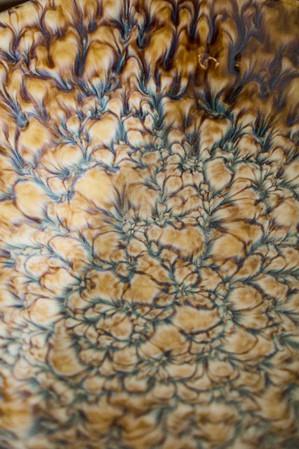 Walden Bowl By Accent Decor