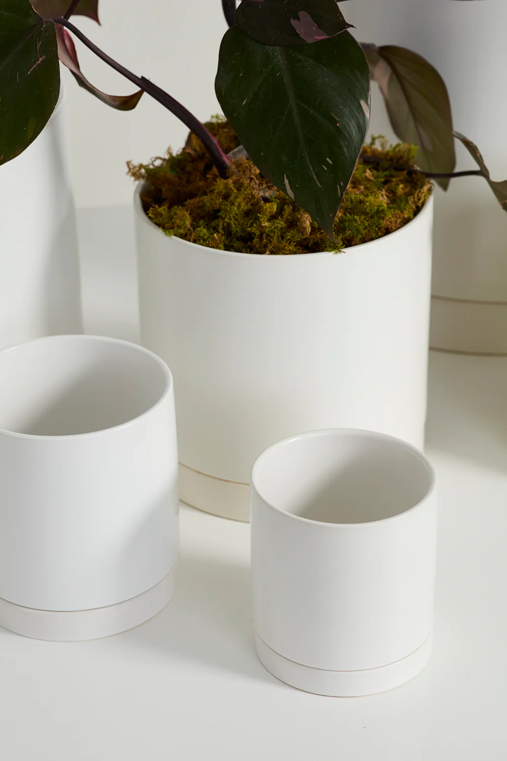 White Romey Pot By Accent Decor