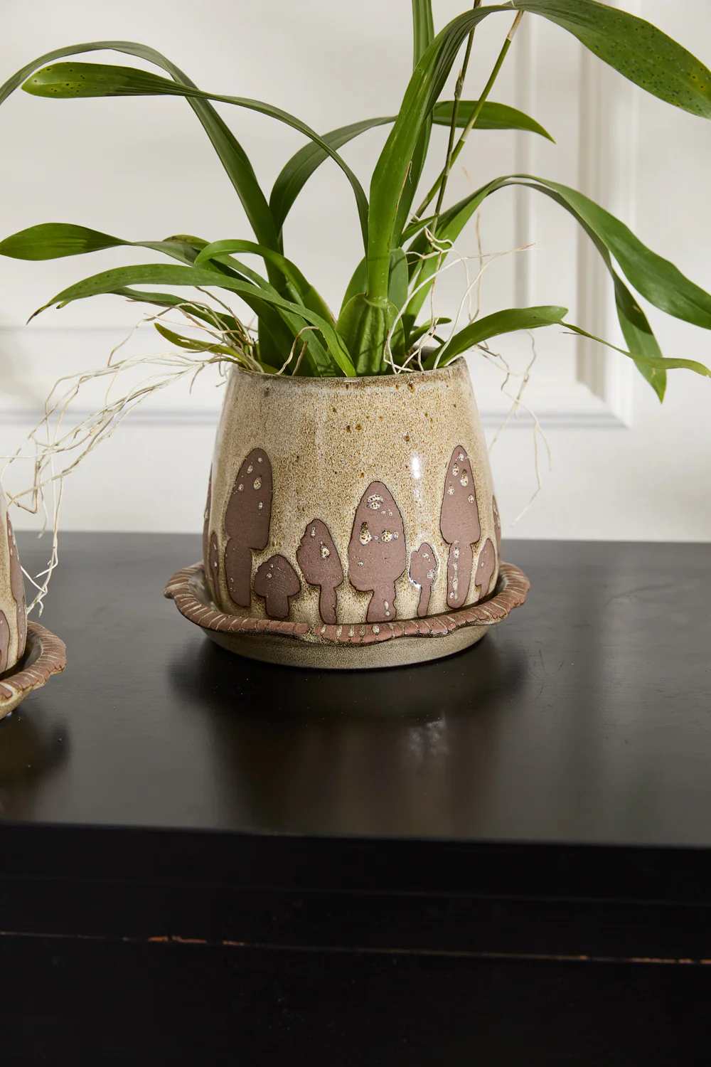 Wild Mushroom Pot with Saucer Set of 2 By Accent Decor - Image 6