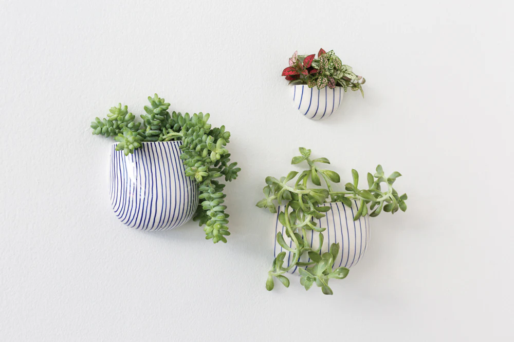 Wim Wall Planter Set of 8 By Accent Decor - Image 3