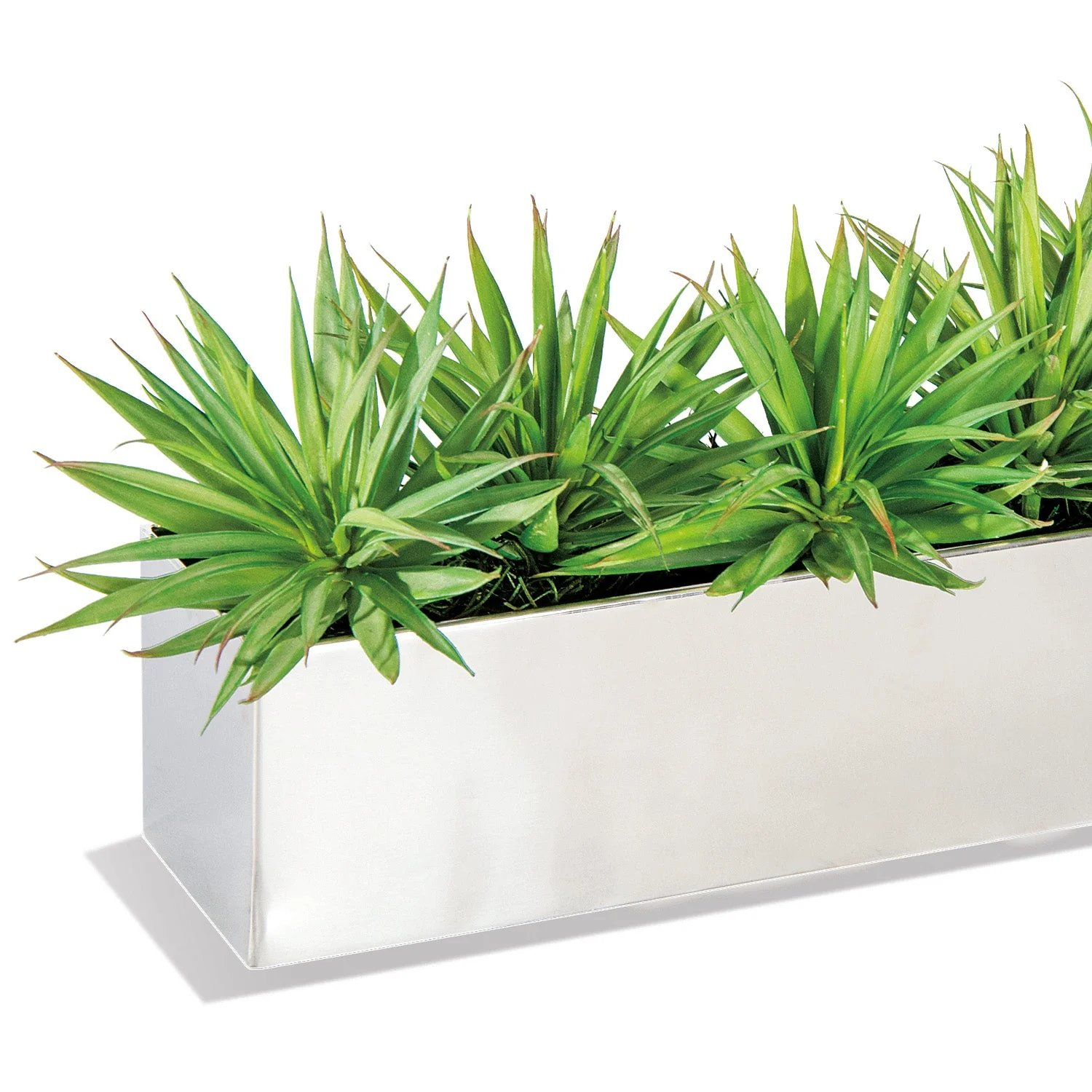 Yucca Mini 1 in Stainless Table Planter By Gold Leaf - Image 2